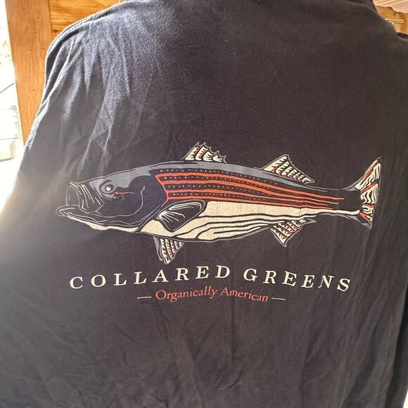 Collared Greens L/S T-Shirt - Picture 2 of 5